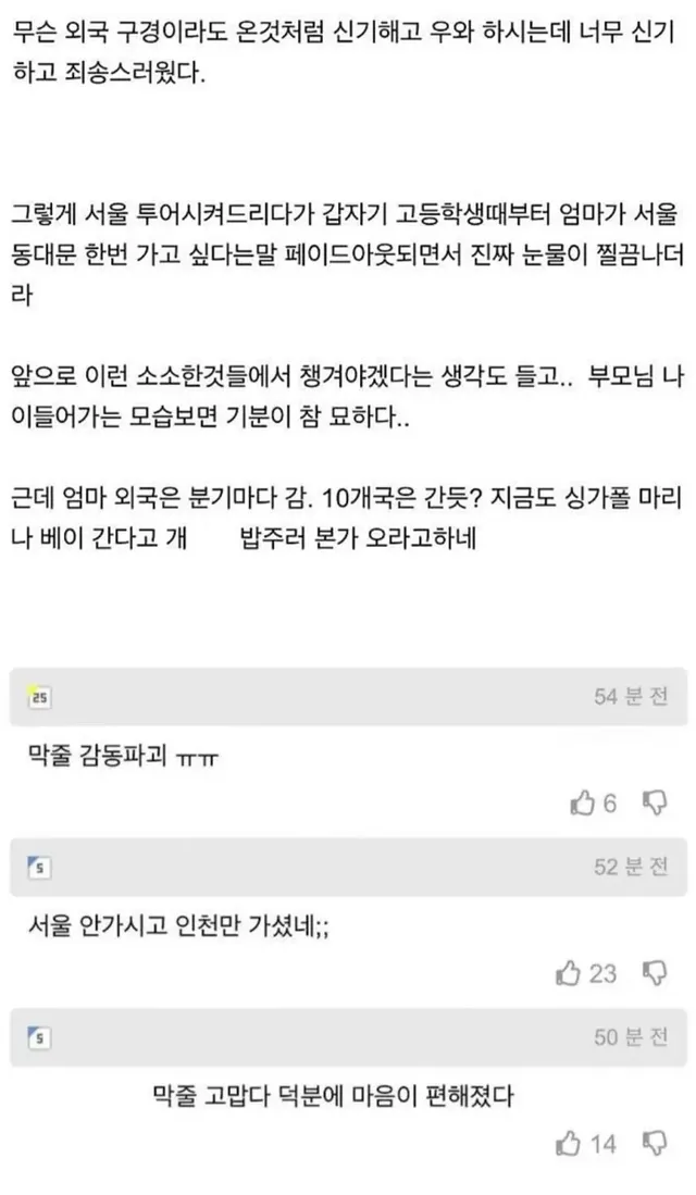 서울구경 하고싶다는 엄마