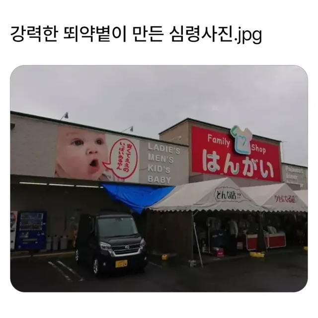 강한 햇빛이 만든 호러사진