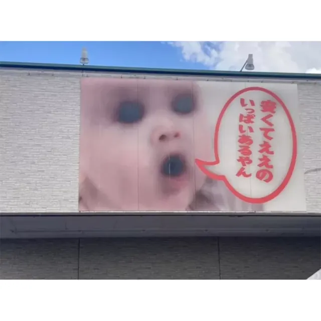 강한 햇빛이 만든 호러사진