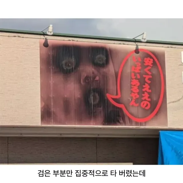 강한 햇빛이 만든 호러사진