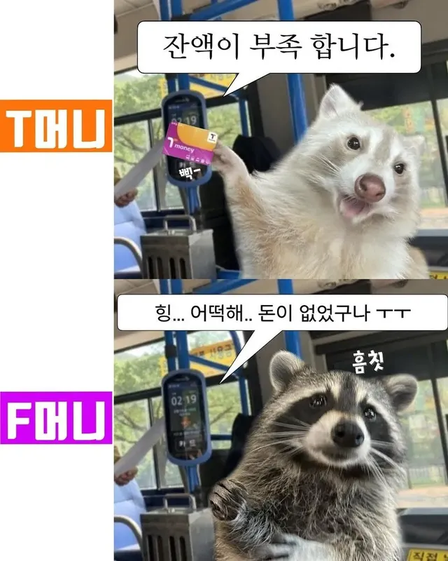 T머니 vs F머니
