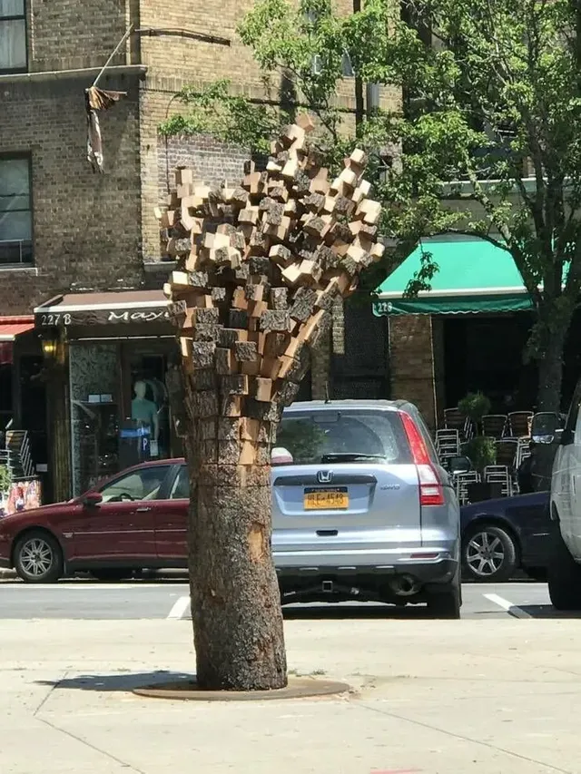 죽은 가로수 재활용...