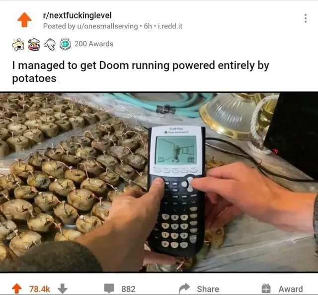 감자 200개로 할 수 있는 일.jpg