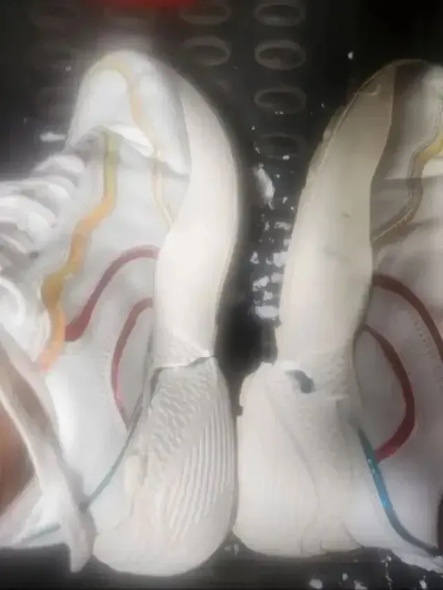 테무에서 산 신발 보고 가