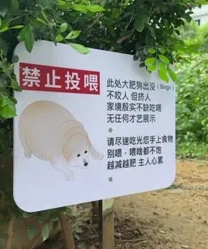 싱글벙글 강아지 먹이 주지마세요