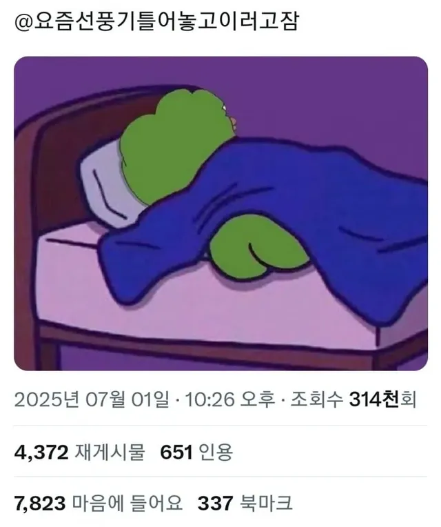 개붕이들 자는모습
