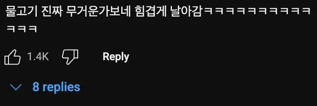 날아가는 수리🦅에게 물고기를 던지면 일어나는 일