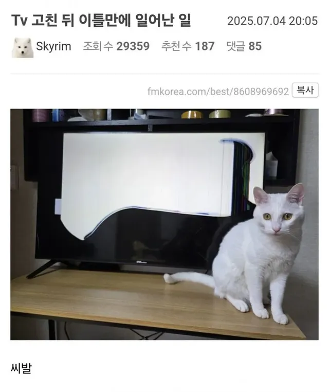 Tv 고친 뒤 이틀만에 일어난 일.jpg