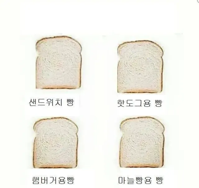 미국 하류층의 삶