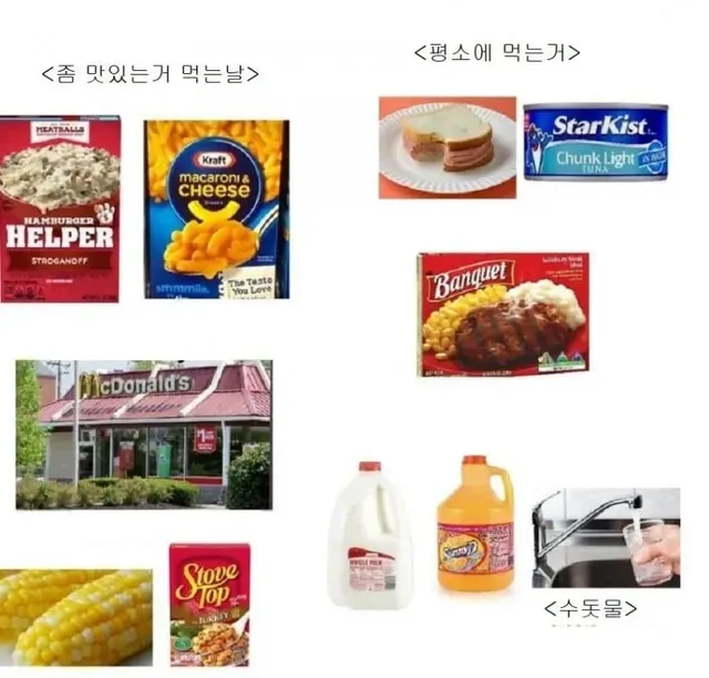 미국 하류층의 삶