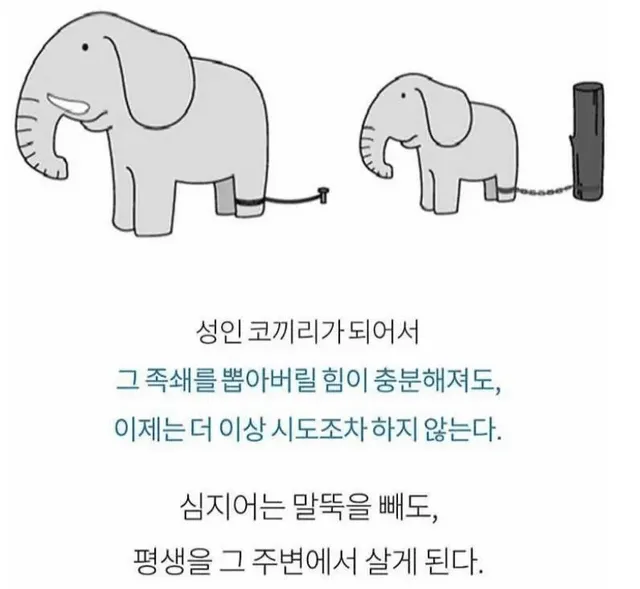 인생 망했다고 생각하면 봐라.JPG