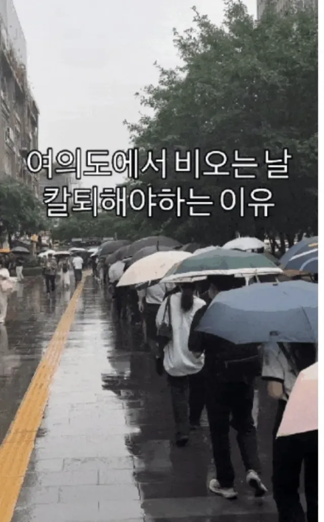 서울은 진짜 이럼?