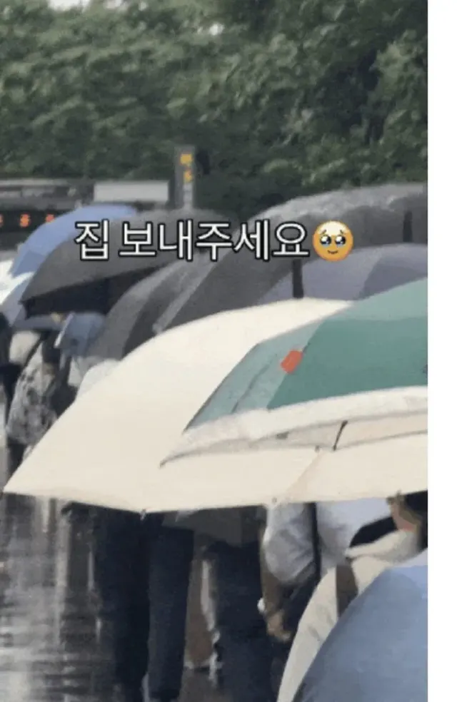 서울은 진짜 이럼?