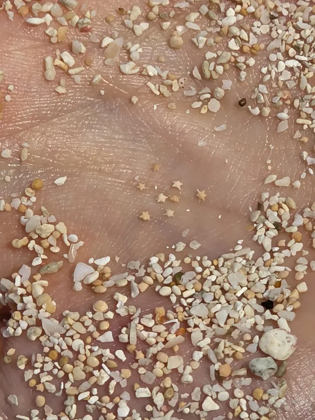 너네 고래밥 모양 모래알 봤냐?.jpg