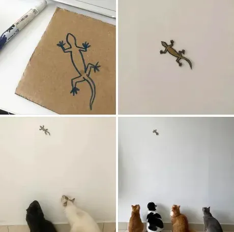 고냥이들 집합 시키는 방법.jpg