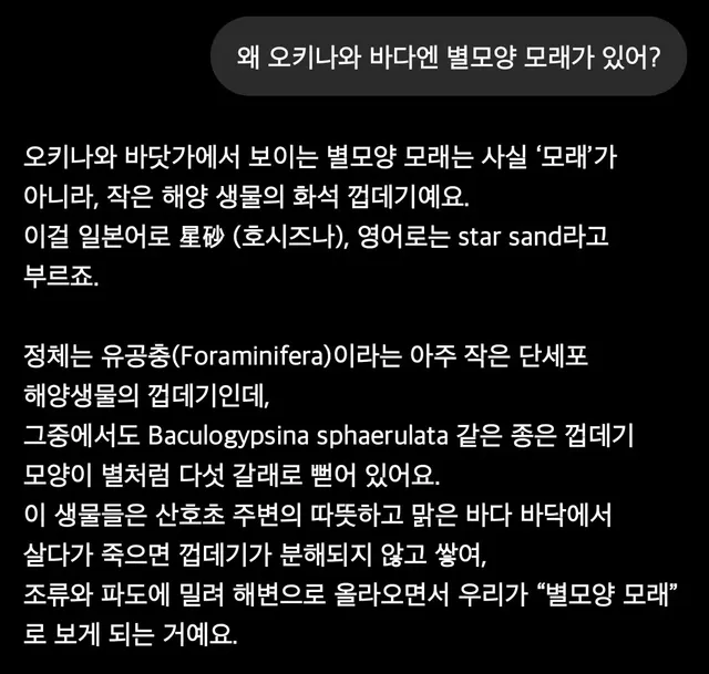 너네 고래밥 모양 모래알 봤냐?.jpg