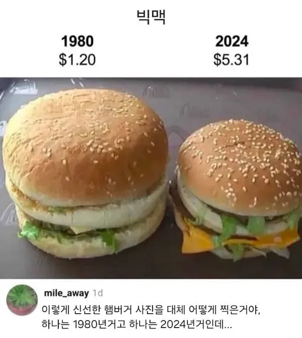 1980 vs 2024 빅맥 비교