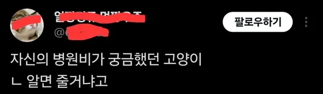 자기 병원비가 궁금했던 고양이