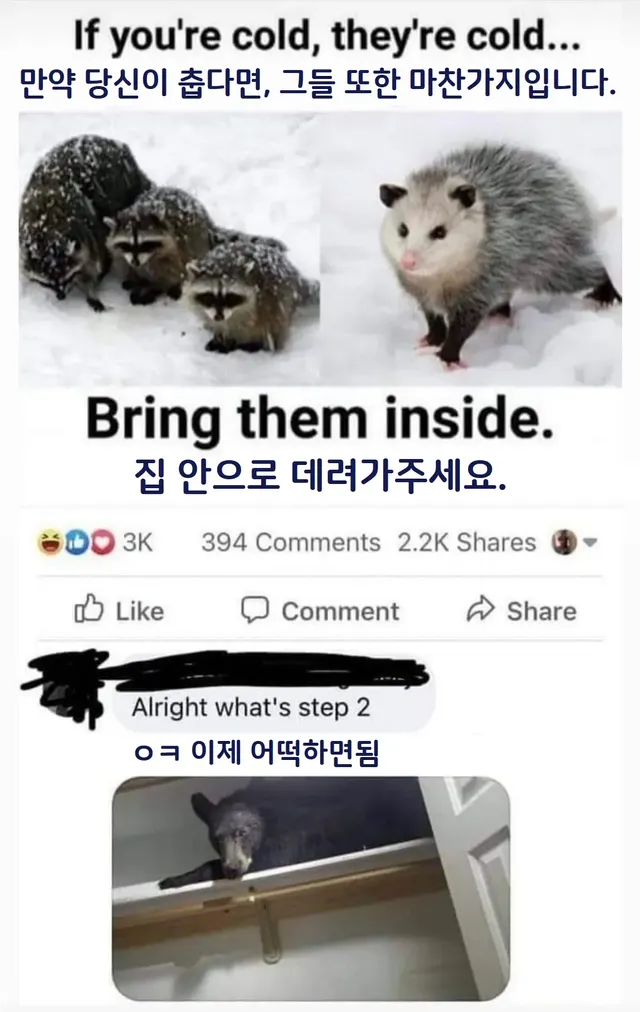 당신이 춥다면 그들또한 마찬가지입니다