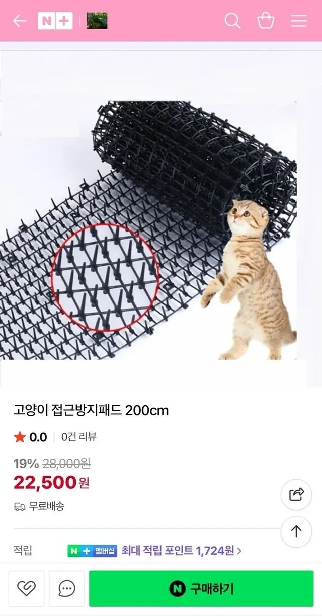 고양이 접근방지 패드 후기
