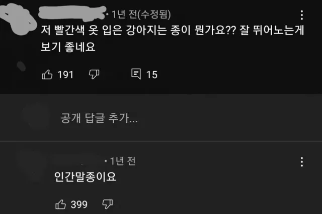저 빨간 옷 입은 강아지는 종이 뭔가요 잘 뛰어노는 게 보기 좋네요