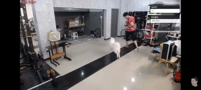 저 빨간 옷 입은 강아지는 종이 뭔가요 잘 뛰어노는 게 보기 좋네요