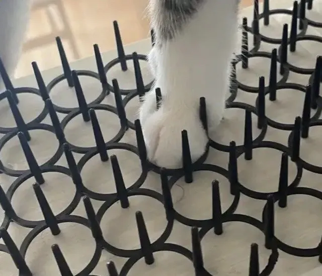 고양이 접근방지 패드 후기