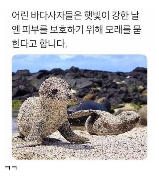 바다인절미.jpg