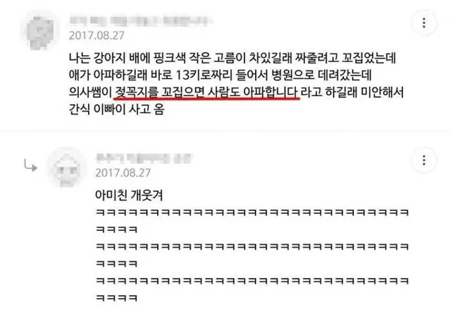 강아지 배에 고름이 차있길래 동물병원에 갔다
