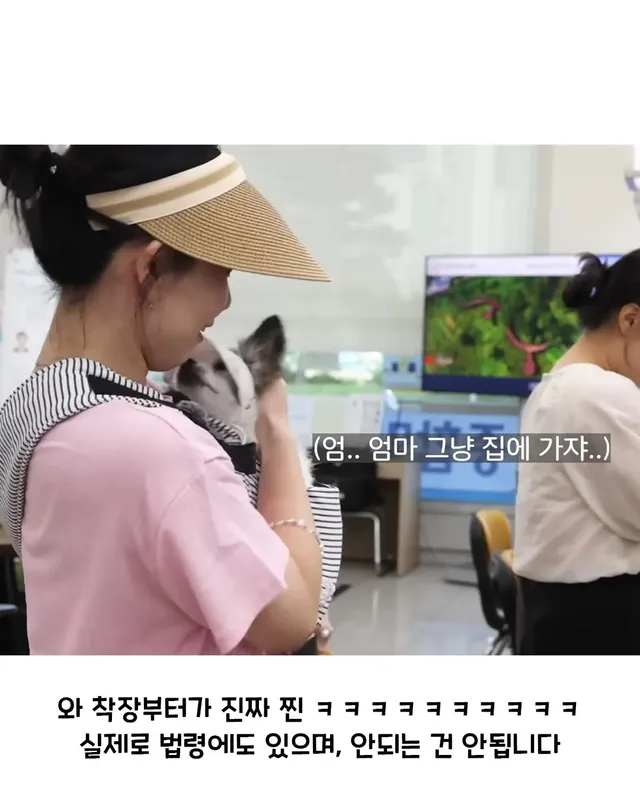 공무원 악성 민원 업데이트.jpg