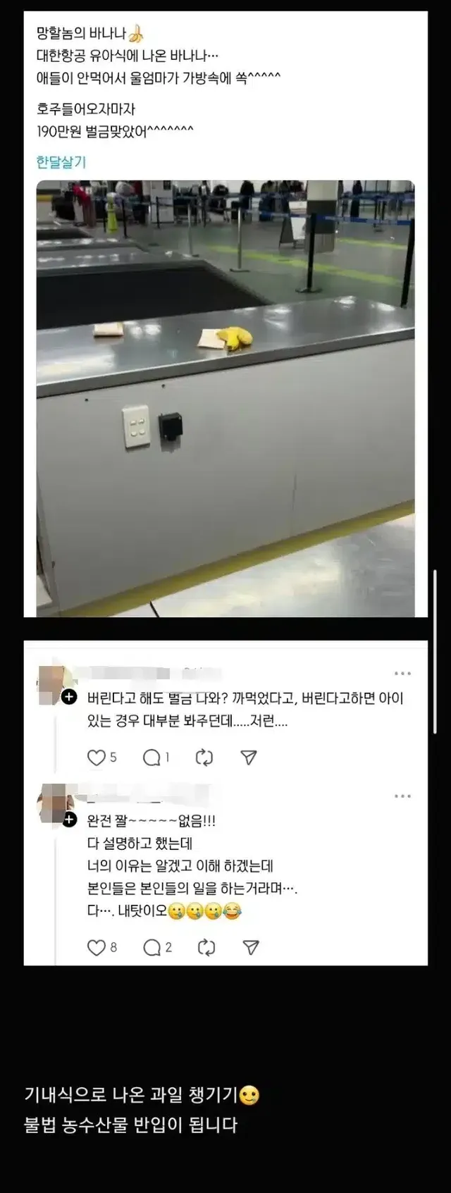 기내식 챙겼다가 벌금형