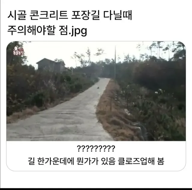 시골 콘크리트 포장길 다닐때 주의해야할 점.jpg