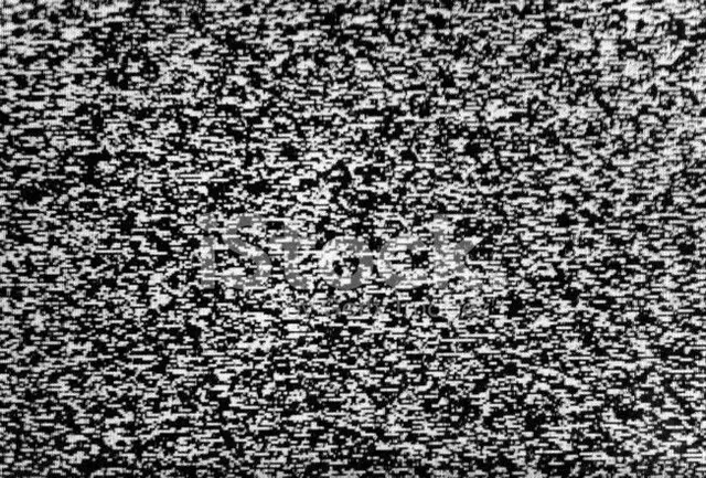 백수들이 취업을 못하는 이유