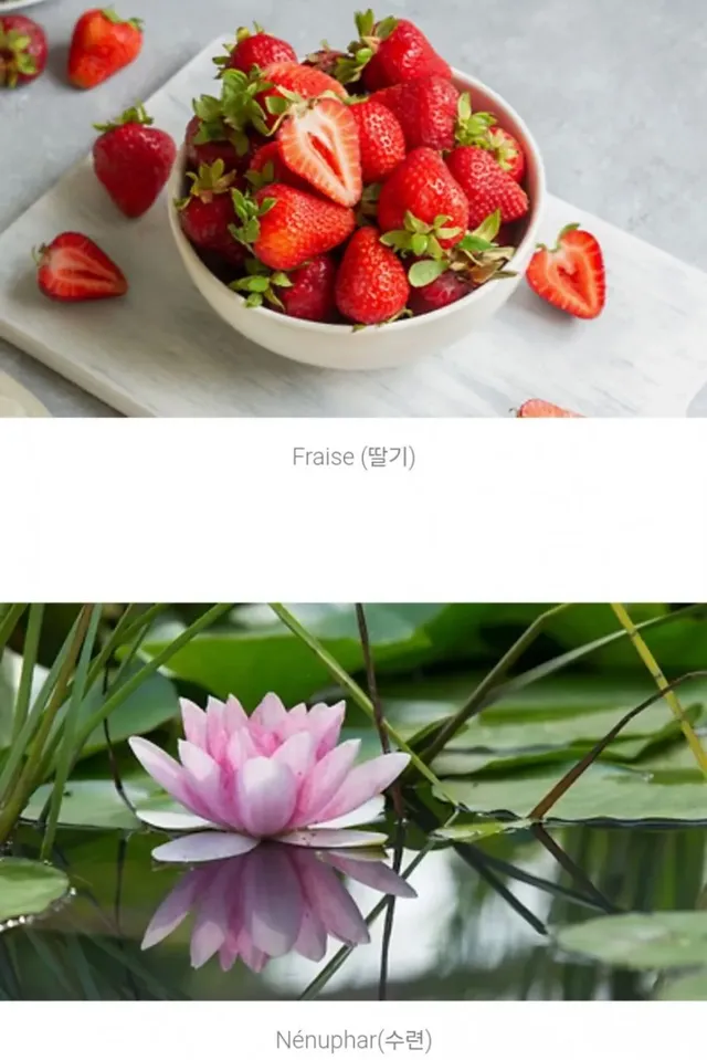 프랑스 법원에서 거절한 아기 이름들 수준