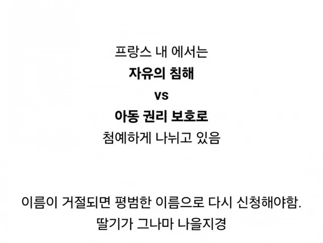 프랑스 법원에서 거절한 아기 이름들 수준