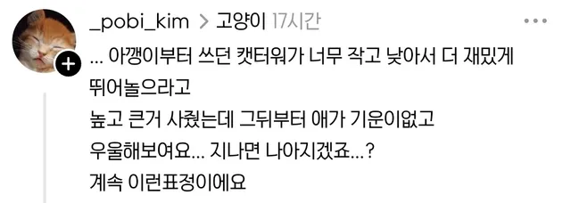 애착 캣타워를 잃었다가 다시 찾은 냥이