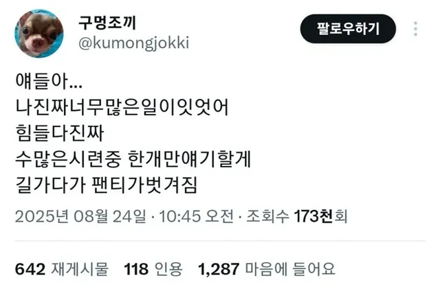 다이소에서 절대 사면 안되는 물건 1위