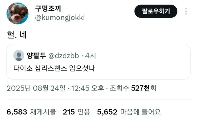 다이소에서 절대 사면 안되는 물건 1위