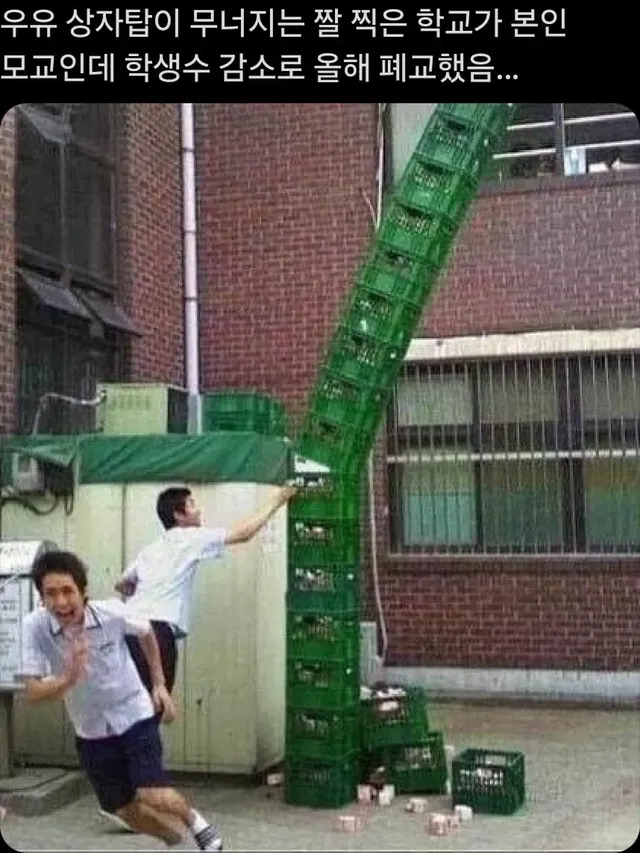 우유박스 무너지는 짤 근황
