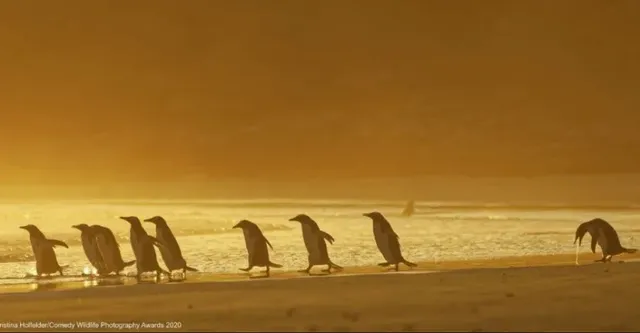 신입사원 첫 회식날