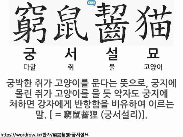 의외로 사실이었던 사자성어