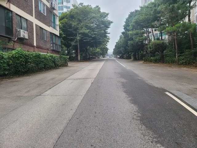 갤럭시 ai - 불법 갓길 주정차들 지워보기