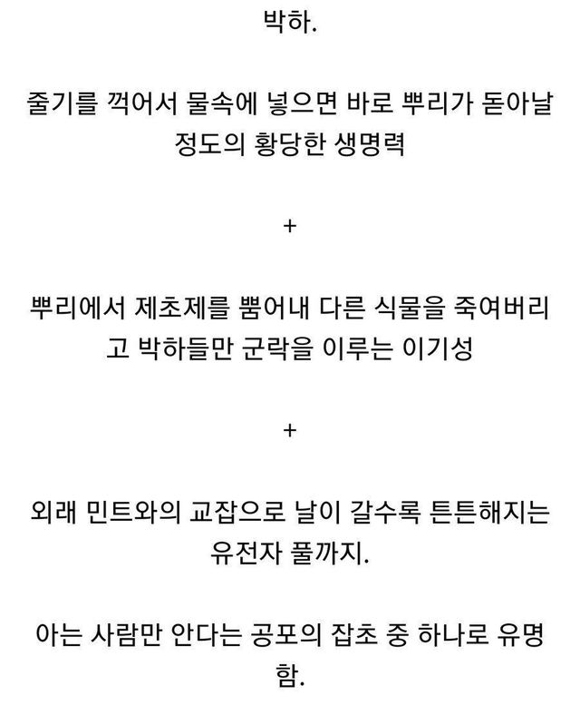 아는 사람만 아는 최악의 잡초