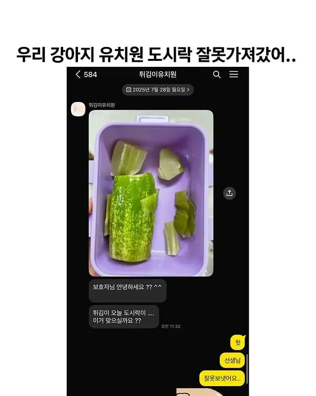 우리 강아지 유치원 도시락 잘못 가져갔어...jpg