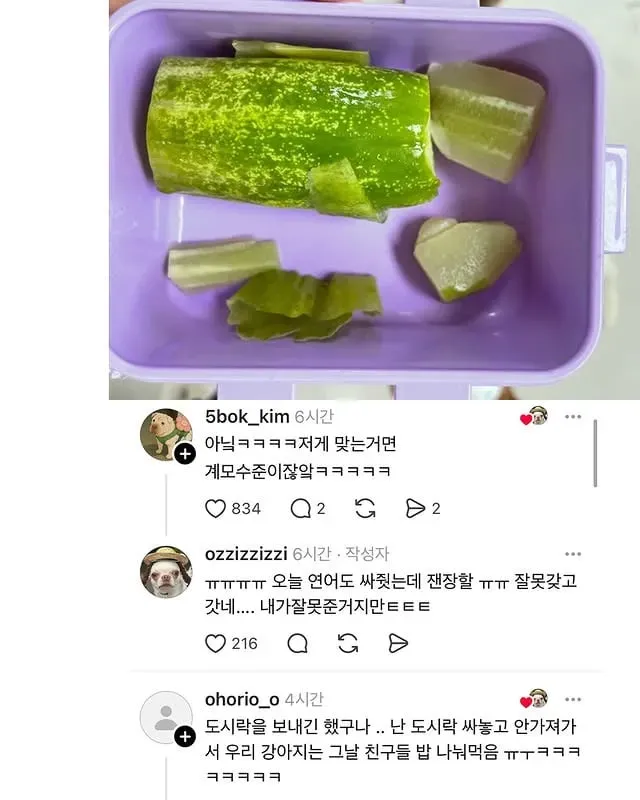 우리 강아지 유치원 도시락 잘못 가져갔어...jpg