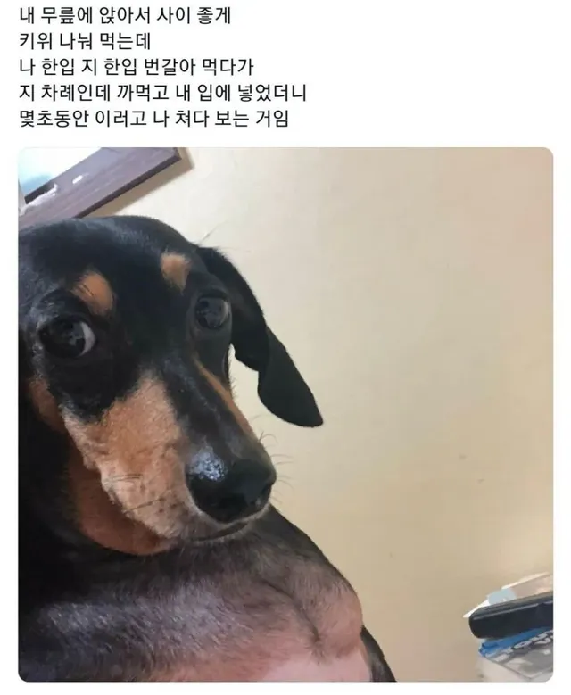 와 되게 섭섭하다 주인아