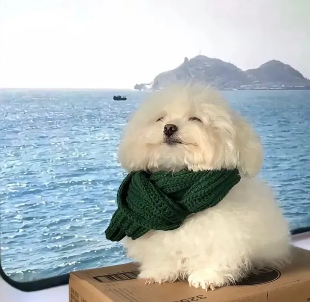 사진 주작질 현장 공개