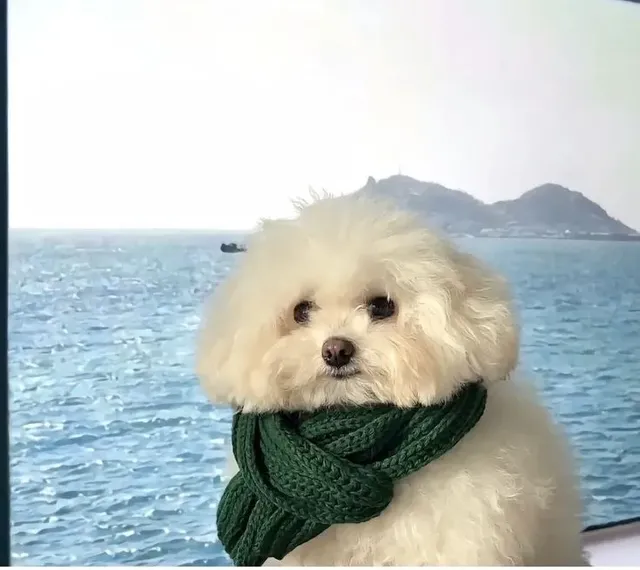 사진 주작질 현장 공개