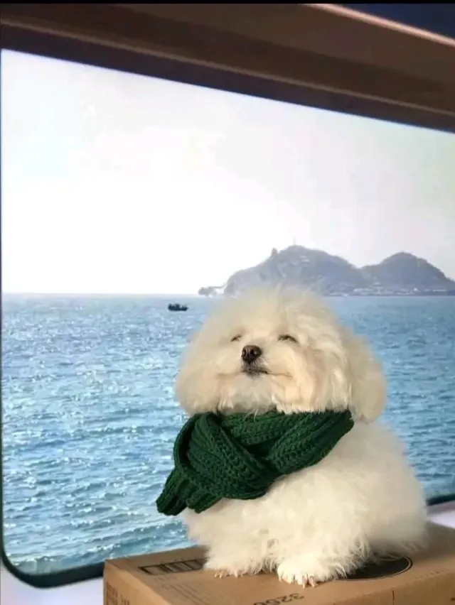 사진 주작질 현장 공개