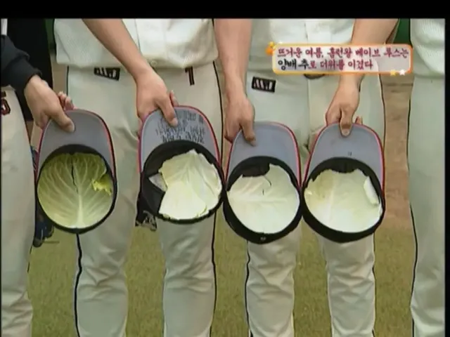 펜타에서 양배추 실험 제가 한번 해보겠습니다